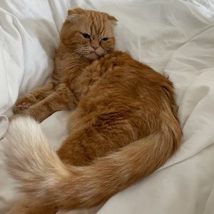 Meet your Posher, Emma